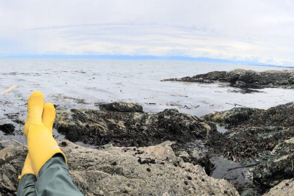 Taking a break after the last urchin collection in Macaulay Point, B.C.